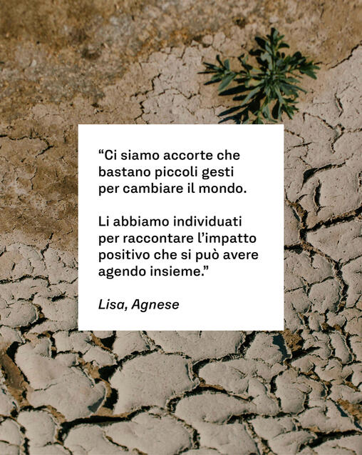 Egestas diam in arcu euismod